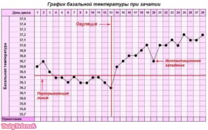 Температура на 40 неделе беременности