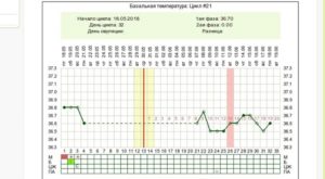 Базальная температура на 13 неделе беременности