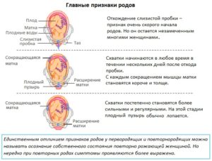 Беременность 38 недель признаки приближающихся родов