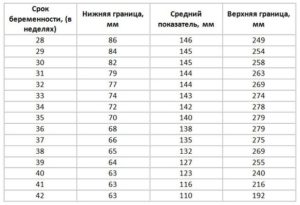 Узи 3 триместр беременности расшифровка норма