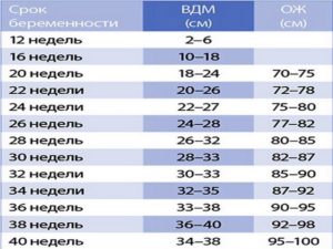 Окружность живота на 29 неделе беременности норма