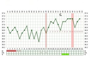 Температура на 3 неделе беременности