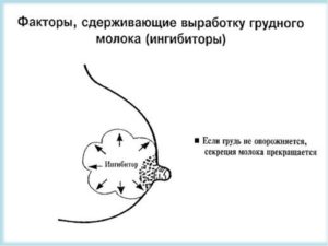 Что делать чтобы перегорело молоко у кормящей мамы