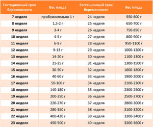 Таблица сколько должен весить ребенок в 33 недели беременности
