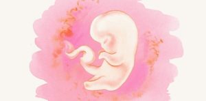 5 неделя акушерская беременности ощущения
