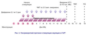 При низком амг стимуляция овуляции