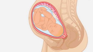 39 неделя беременности боли в промежной области