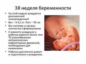 38 недель беременности вес и рост ребенка