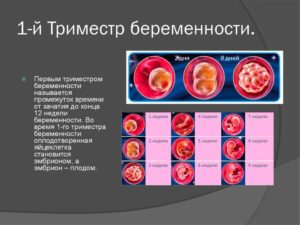 Состояние в первом триместре беременности