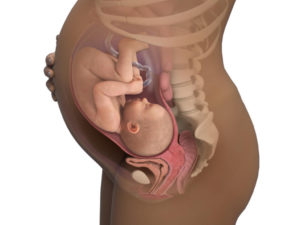 37 неделя беременности ребенок часто икает
