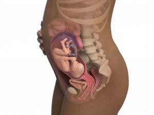 Болит спина на 26 неделе беременности