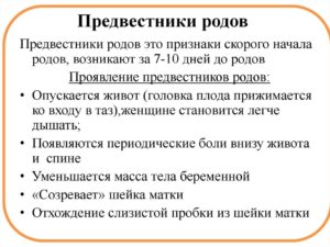 38 недель беременности как распознать начало схваток