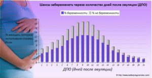 В день овуляции какой шанс забеременеть