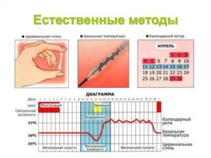 В день овуляции был незащищенный па какова вероятность забеременеть