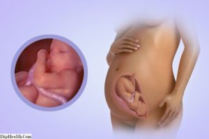 31 неделя беременности шевеление плода