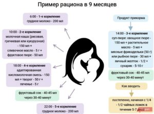 Меню в 9 месяцев при искусственном вскармливании