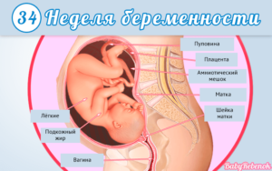 Изжога на 33 неделе беременности