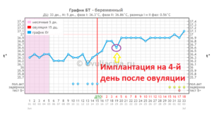 Имплантация эмбриона на какой день после овуляции