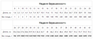 Размеры плода на 30 неделе беременности