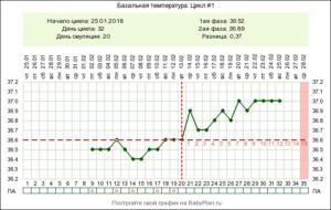 С какого дня цикла начинают стимуляцию овуляции эко