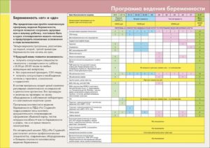 Анализы в первом триместре беременности список