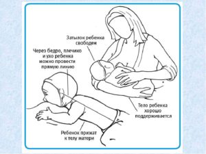 Положение при кормлении ребенка грудью