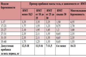 На 24 неделе беременности прибавка в весе