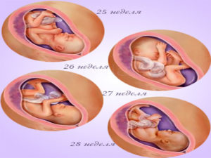Головокружение на 25 неделе беременности