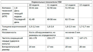 Результаты узи на 13 неделе беременности расшифровка норма