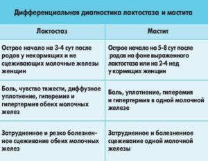 Застой молока с температурой у кормящей мамы что делать