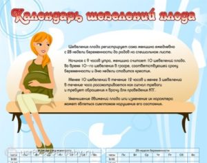 24 неделя беременности шевеление плода норма