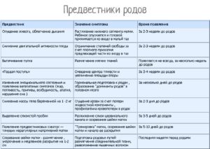 Тренировочные схватки на 40 неделе беременности