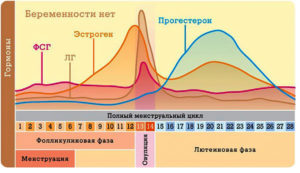 Прогестерон на какой день сдавать после овуляции