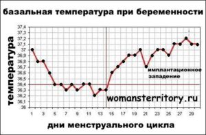 Температура 37 при беременности в первом триместре