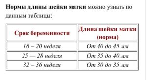 Шейка матки на 20 неделе беременности норма