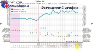 Температура 37 при беременности в первом триместре