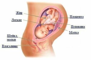 Тонус матки на 34 неделе беременности