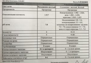 Лейкоциты в моче на 39 неделе беременности