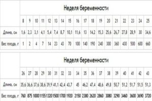 Размеры плода на 30 неделе беременности