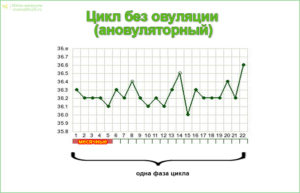 Цикл без овуляции