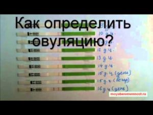 Как в домашних условиях проверить овуляцию