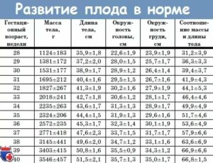 Вес плода на 31 неделе беременности