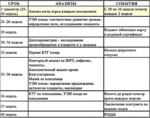 Какие анализы сдают при беременности в первом триместре