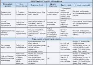 24 неделя беременности низ живота болит