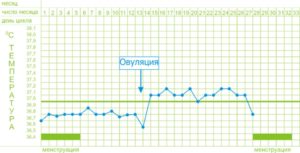 Цикл без овуляции