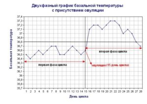 Определение овуляции по базальной температуре