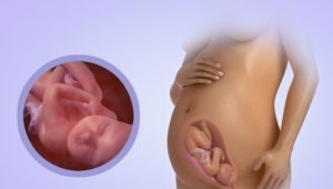 30 недель беременности от зачатия