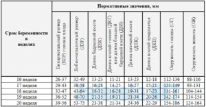 Норма узи на 19 неделе беременности