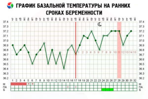 Температура тела на 8 неделе беременности