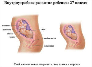 26 неделя беременности что происходит с малышом